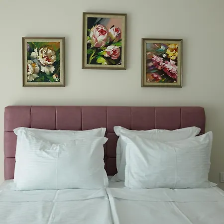 公寓 Todorovi аpartments 4 *